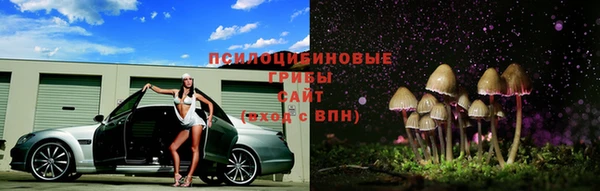 каннабис Алзамай