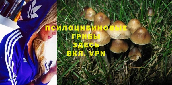 шишки Осташков