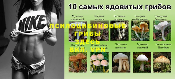 каннабис Алзамай