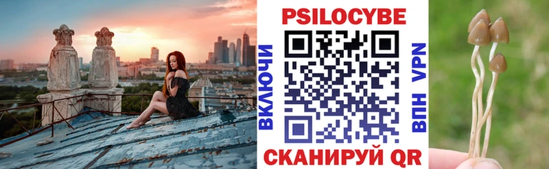 Галлюциногенные грибы мухоморы цены Мышкин